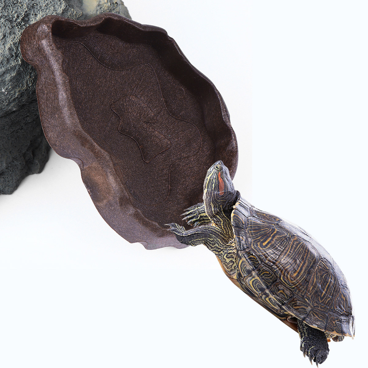 Water Dish Reptile - Reptielenhars Voedselschaal Koffie Maat S Antislip