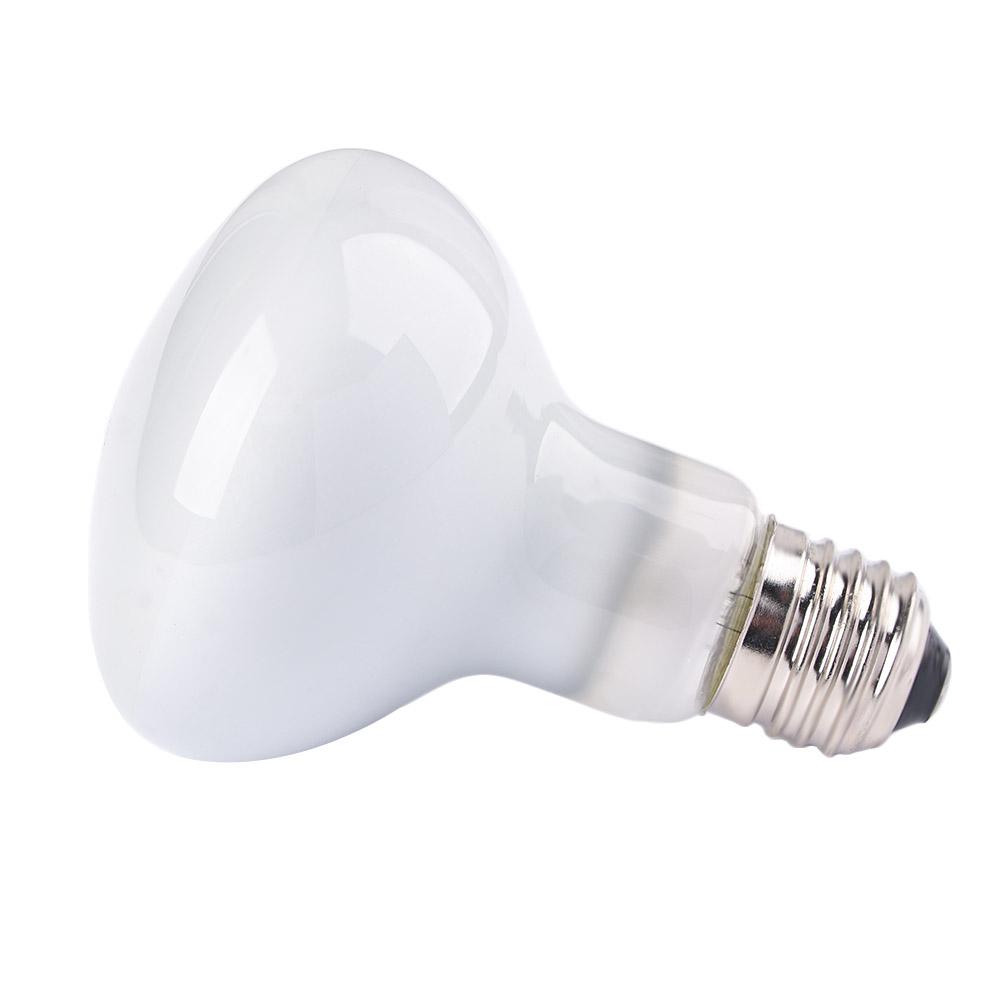Basking Bulb Halogen - Amfibieën Temperatuurregelaar Warmtelamp Halogeenlamp UVA-licht Zonnebadlamp