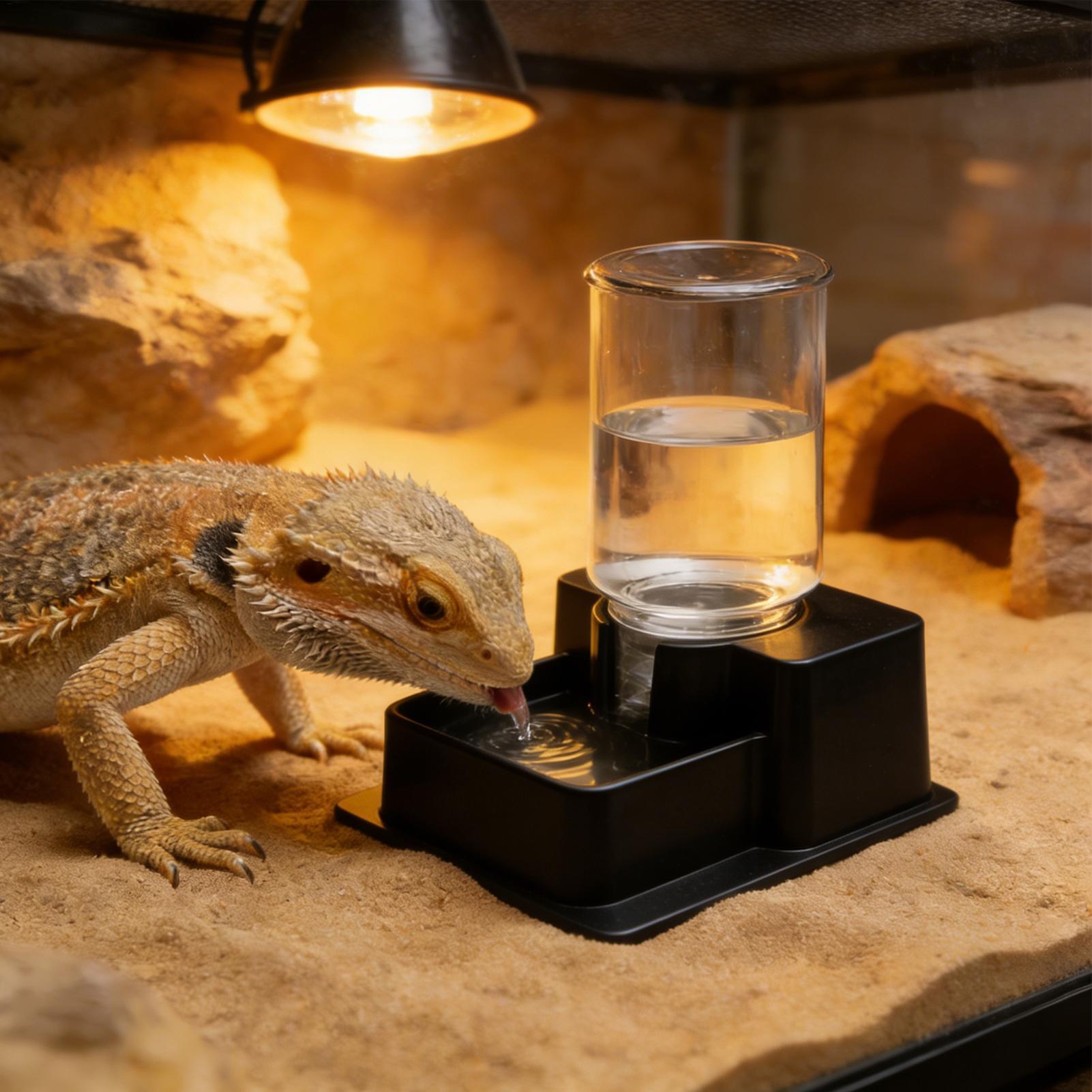 Water Dish Reptile - Baardagaam Waterfontein Reptiel Automatische Schotel Schildpad