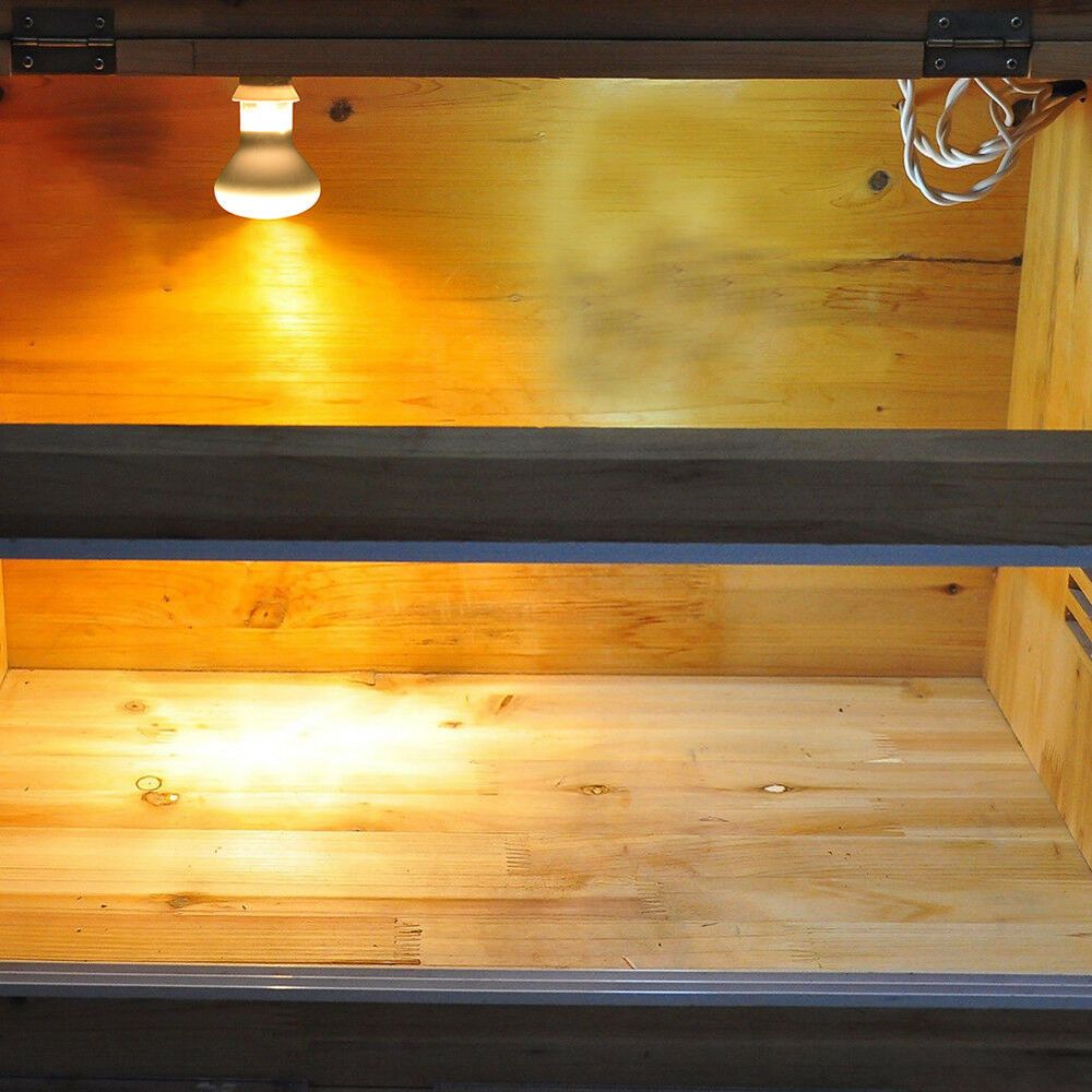 Basking Bulb Halogen - Hagedisverwarmer Temperatuurregelaar Zonnebanklamp Reptiel Halogeenlamp UVA-lamp