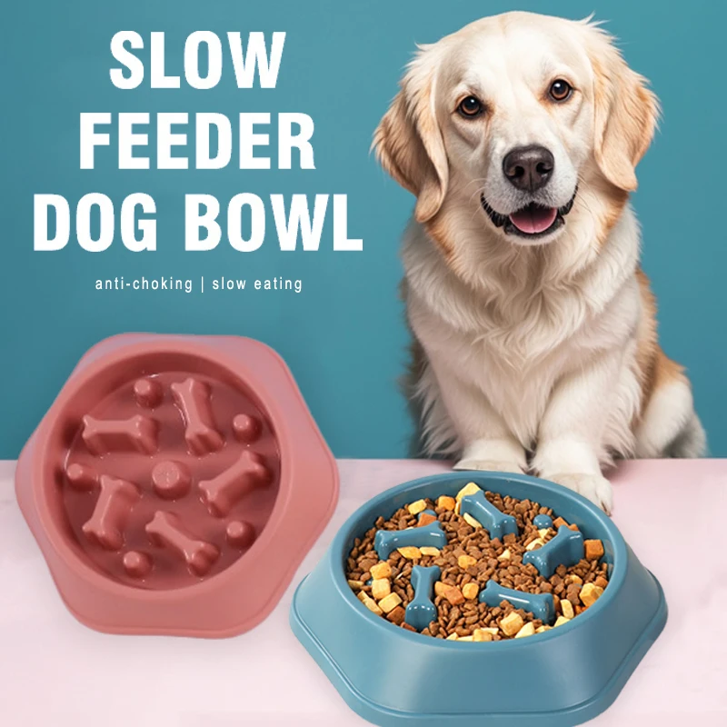 Nieuwe Slow Feeder hondenbak a - Royal Canin Food Medium recensie en prijs