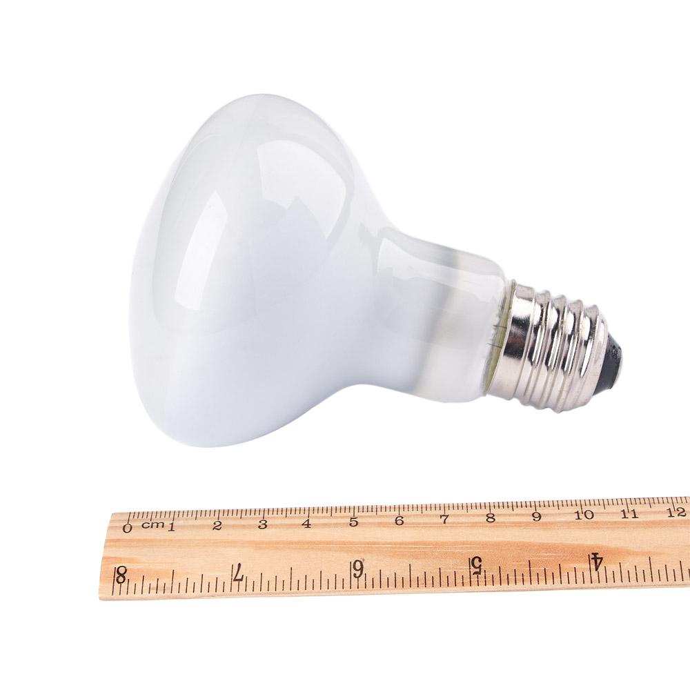 Hagedisverwarmer Temperatuurre - Basking Bulb Halogen recensie en prijs