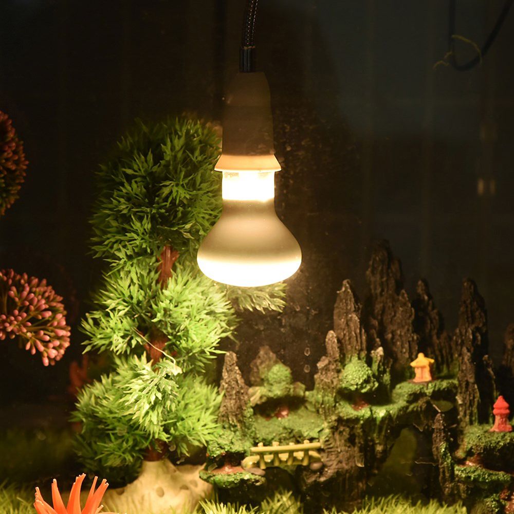 Amfibieën Verwarmingslamp UVA- - Basking Bulb Halogen recensie en prijs