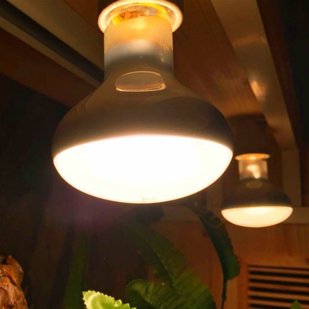 Amfibieën Verwarmingslamp UVA- - Basking Bulb Halogen recensie en prijs