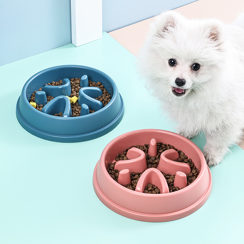 Gezonde hondenschaal voor lang - Royal Canin Food Medium recensie en prijs