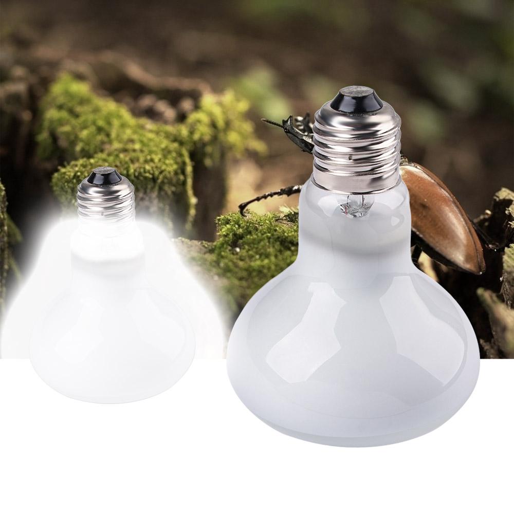 Amfibieën Temperatuurregelaar  - Basking Bulb Halogen recensie en prijs