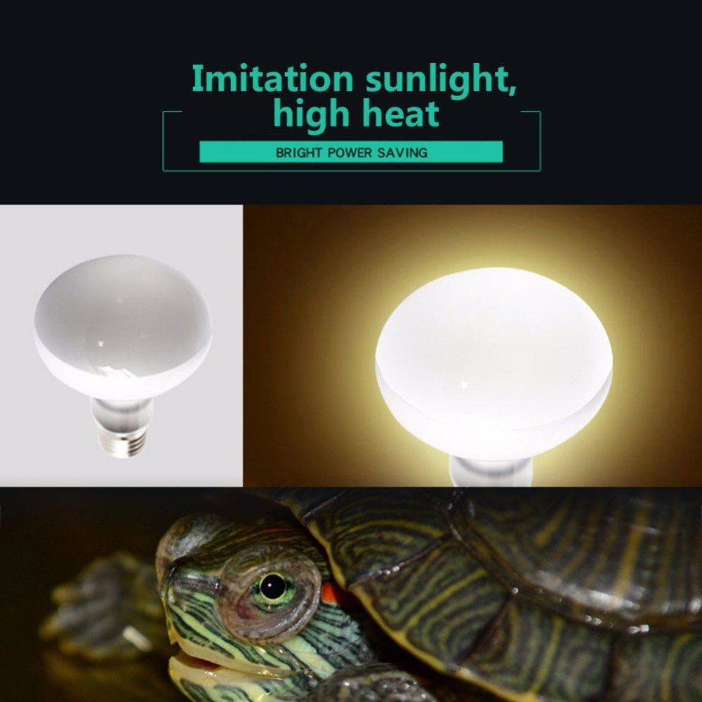 Amfibieën Temperatuurregelaar  - Basking Bulb Halogen recensie en prijs