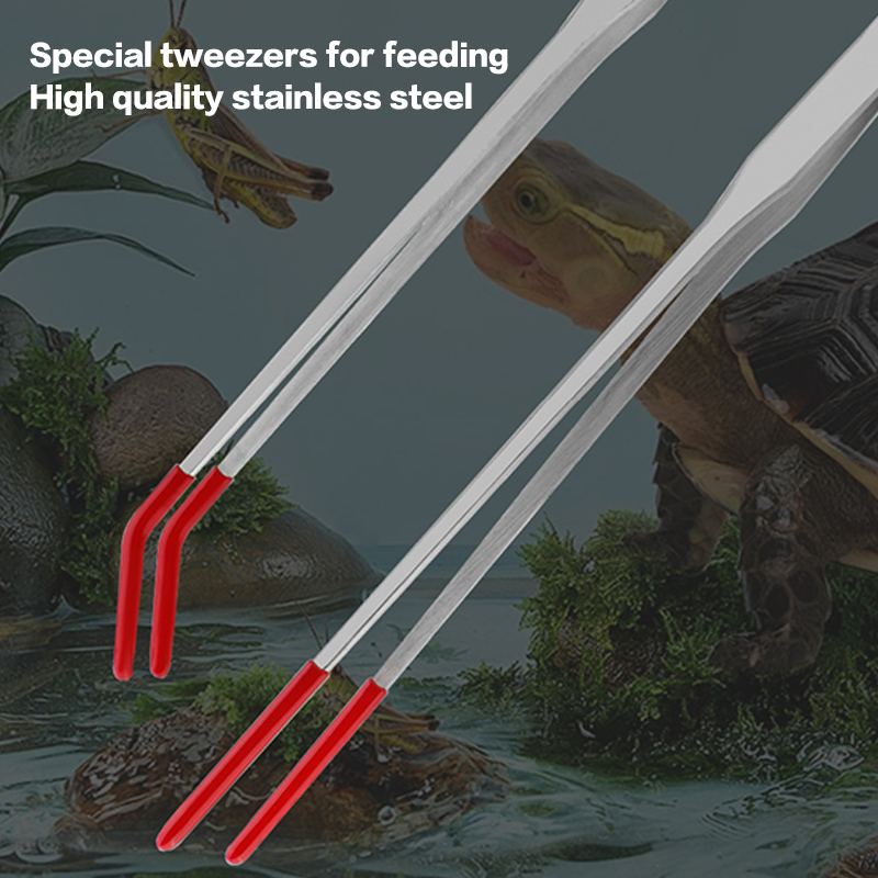 Roestvrijstalen reptielenvoede - Feeding Tong Stainless recensie en prijs