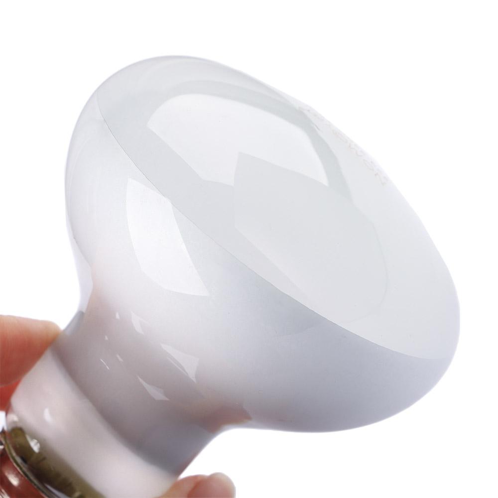 Schildpadverwarmer Temperatuur - Basking Bulb Halogen recensie en prijs