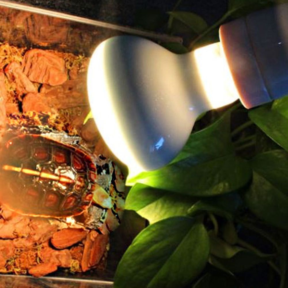 Schildpadverwarmer Temperatuur - Basking Bulb Halogen recensie en prijs