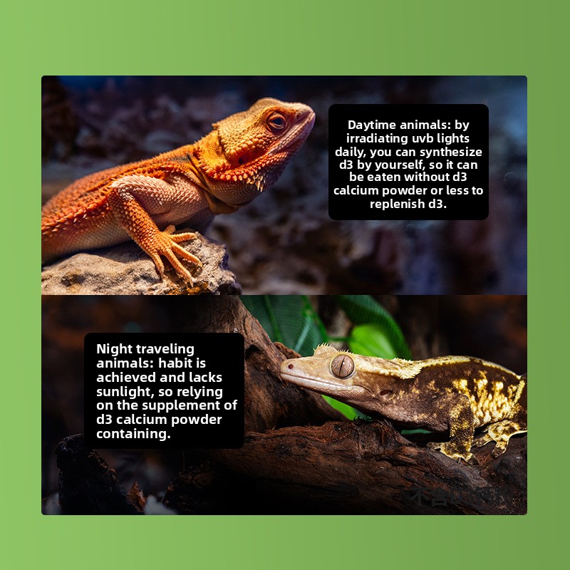 Reptizoo Reptiel Calciumpoeder - Vitamin D3 Reptile recensie en prijs