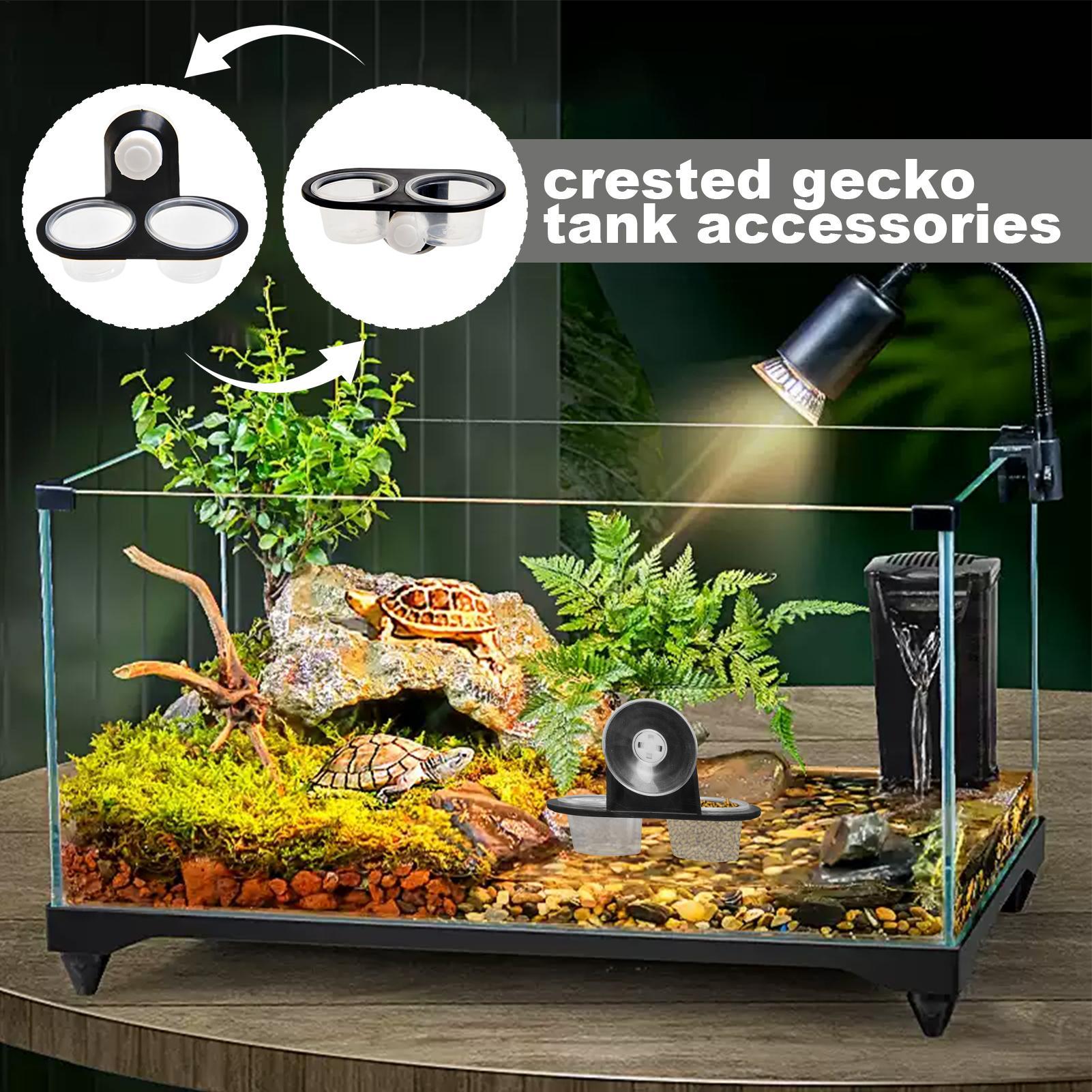 Gecko Feeder Ledge met afneemb - Water Dish Reptile recensie en prijs