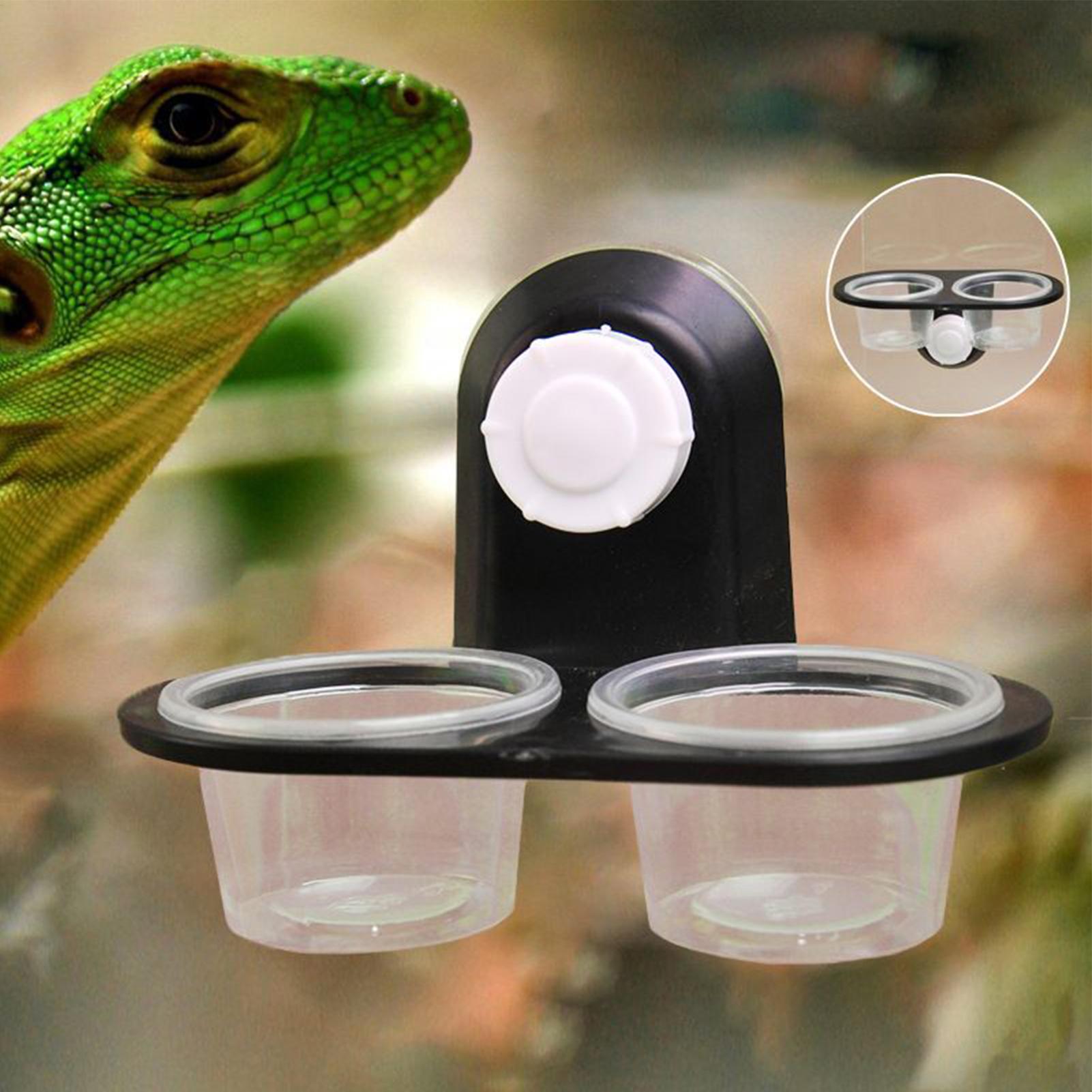 Gecko Feeder Ledge met afneemb - Water Dish Reptile recensie en prijs