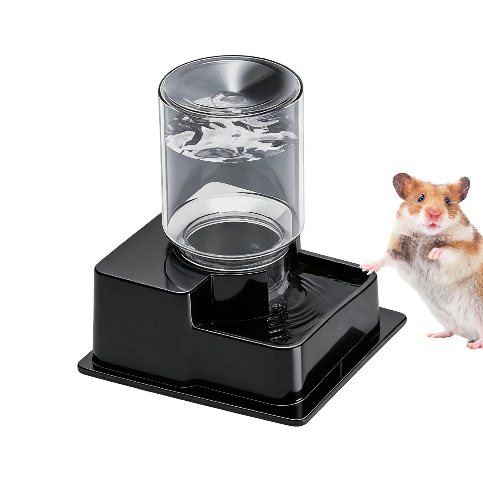 Baardagaam Waterfontein Reptie - Water Dish Reptile recensie en prijs