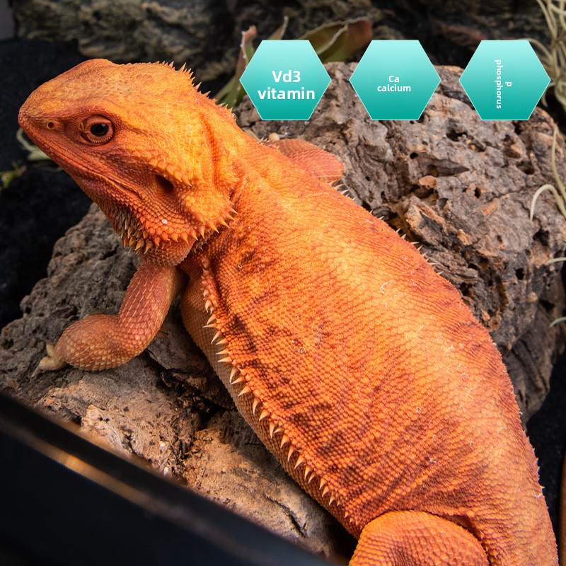 SuperRep Reptiel Calcium Pro-v - Vitamin D3 Reptile recensie en prijs