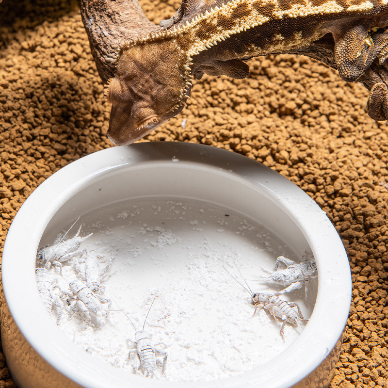 SuperRep Reptiel Calcium Pro-v - Vitamin D3 Reptile recensie en prijs